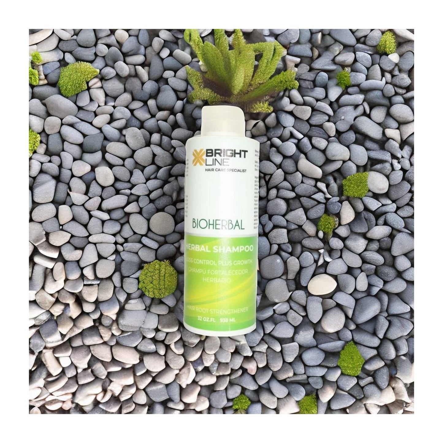 Bioherbal Shampoo for Damaged and Treated Hair – Sergio Beauty